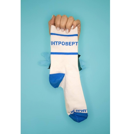 Шкарпетки «Інтроверт», довгі
