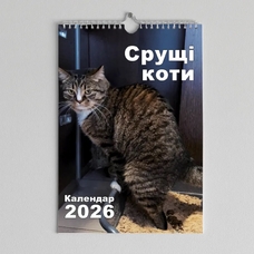 Настенный календарь на 2026 «Коти, що роблять свої справи», А4 купить в интернет-магазине Супер Пуперс