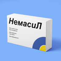 Шоколадная плитка «Немасил» Шоколадная плитка «Немасил»