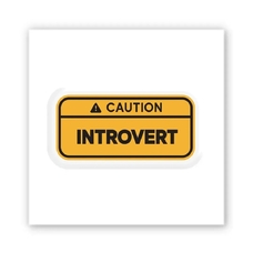 3D-стикер «Introvert» купить в интернет-магазине Супер Пуперс