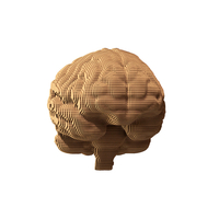 3D пазл «Brain»