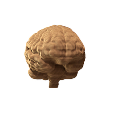 3D пазл «Brain» купить в интернет-магазине Супер Пуперс