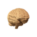 3D пазл «Brain»