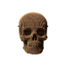3D пазл «Skull»
