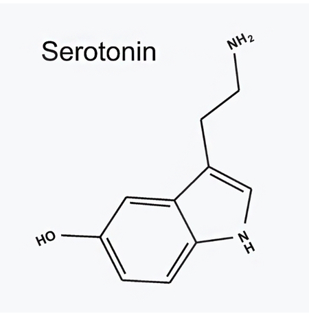 Тимчасове тату «Serotonin»