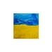 Картина в технике fluid art «Ukraine»