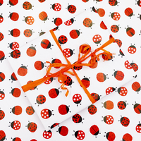 Упаковка в подарочную бумагу «Ladybugs»