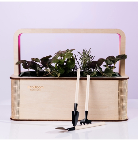 Розумний набір для вирощування рослин «Ecobloom», квіти