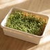Набор для выращивания микрозелени, салат