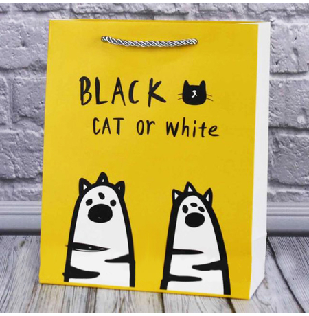 Подарочный пакет «Белый или черный кот» 26x21x9 см