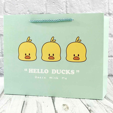 Подарочный пакет «Ducks» (зелёный) 32x26x11 см купить в интернет-магазине Супер Пуперс