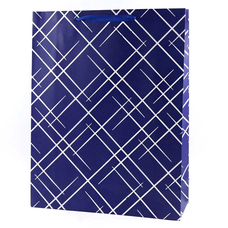 Подарунковий пакет «Gigant» (blue), 55х43х15 см придбати в інтернет-магазині Супер Пуперс