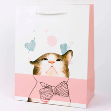 Подарунковий пакет «Котофей» (pink) 32x26x12 см придбати в інтернет-магазині Супер Пуперс