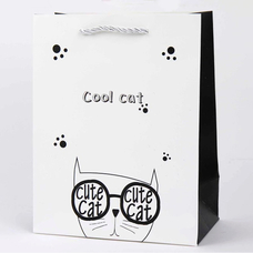 Подарочный пакет «Cool Cat» (white) 32x26x12 см купить в интернет-магазине Супер Пуперс