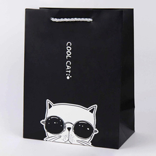 Подарунковий пакет «Cool Cat» (black) 32x26x12 см придбати в інтернет-магазині Супер Пуперс
