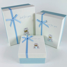 Подарункова коробка «Hamster» — уцінка придбати в інтернет-магазині Супер Пуперс