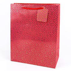 Подарунковий пакет «Classic» (red), 23х18х10 см придбати в інтернет-магазині Супер Пуперс