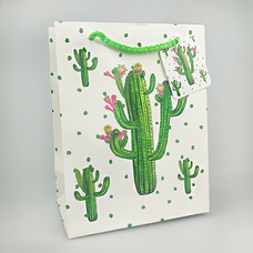 Подарунковий пакет «Papa cactus» 23х18х10 см придбати в інтернет-магазині Супер Пуперс