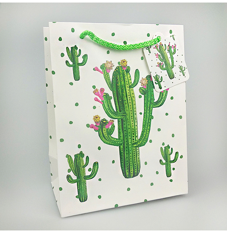Подарочный пакет «Papa cactus» 23х18х10 см
