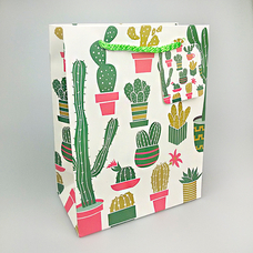 Подарунковий пакет «Cactus family» 23х18х10 см придбати в інтернет-магазині Супер Пуперс