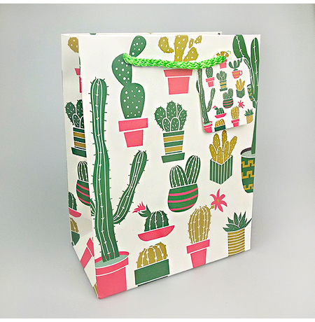 Подарочный пакет «Cactus family» 23х18х10 см