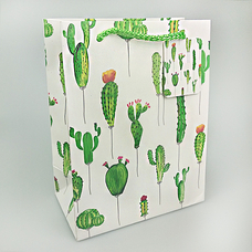 Подарунковий пакет «Fitnes cactus» 23х18х10 см придбати в інтернет-магазині Супер Пуперс