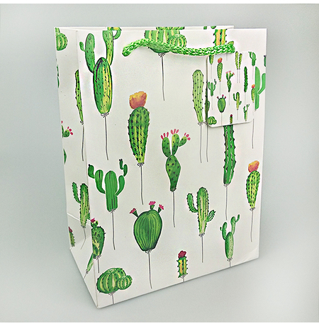 Подарочный пакет «Fitnes cactus» 23х18х10 см