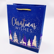 Подарочный пакет "Christmas wishes" 23х18х10 см