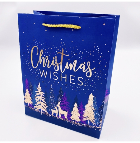 Подарочный пакет «Christmas wishes» 23х18х10 см