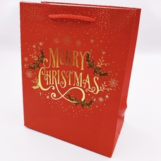 Подарунковий пакет «Merry Christmas» 23х18х10 см придбати в інтернет-магазині Супер Пуперс