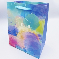 Подарочный пакет «Cloud» (multicoloured) 23х18х10 см