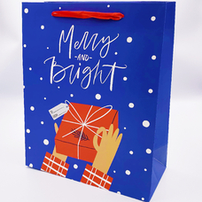 Подарунковий пакет «Merry and bright», подарунок 32х26х12 см придбати в інтернет-магазині Супер Пуперс
