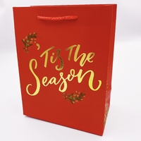 Подарочный пакет «The season», красный 23х18х10 см
