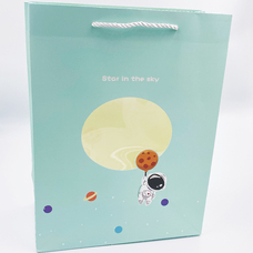 Подарочный пакет «Star in the sky», green 33х25,5х12,5 см купить в интернет-магазине Супер Пуперс