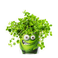 Кашпо MyFacepot «Plant Monster (green)»