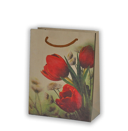 Подарочный пакет «Тюльпаны», 23х18 см