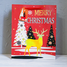 Подарочный пакет «Christmas Deer»  23x18x10 см купить в интернет-магазине Супер Пуперс