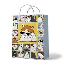 Подарунковий пакет «Мемні коти» придбати в інтернет-магазині Супер Пуперс
