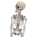 Фигура в форме скелета