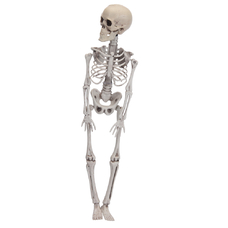 Фігура у формі скелета придбати в інтернет-магазині Супер Пуперс