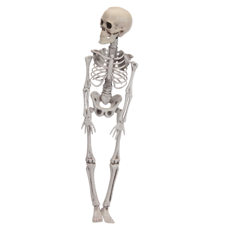 Фигура в форме скелета
