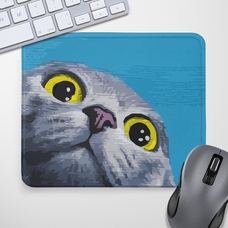 Килимок для миші «Кіт» придбати в інтернет-магазині Супер Пуперс