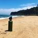 Спортивная бутылка для воды Cheeki «Active» (750 мл), ocean