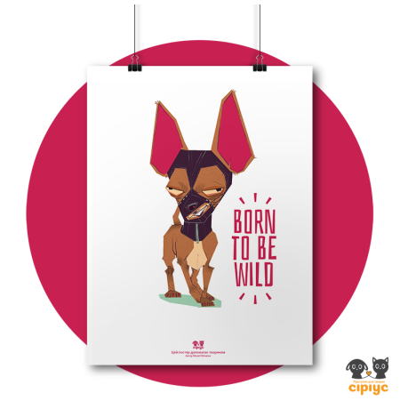 Постер «БДСМ пёс»