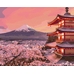 Картина по номерам «Традиційна Японія»