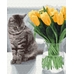 Картина по номерам «Котик з тюльпанами»