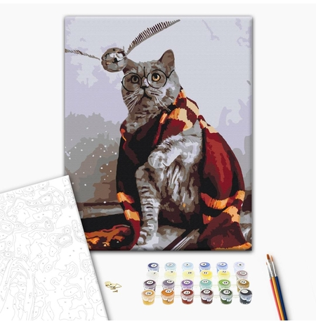 Картина по номерам «Котик ловець снітчу»