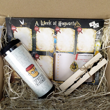 Подарунковий набір «Магія поза Хогвартсом» придбати в інтернет-магазині Супер Пуперс