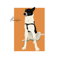 Портрет собачки в стиле бохо купить в интернет-магазине Супер Пуперс