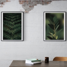 Набір із 2 постерів «Leaves» придбати в інтернет-магазині Супер Пуперс